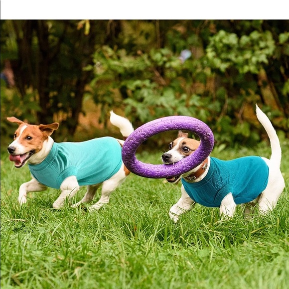 Birthday Girl Dog Outfit 🐾 - Picture 8 of 8